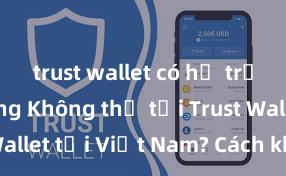 trust wallet có hỗ trợ bsc không Không thể tải Trust Wallet tại Việt Nam? Cách khắc phục